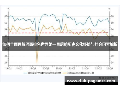 如何全面理解巴西排名世界第一背后的历史文化经济与社会因素解析