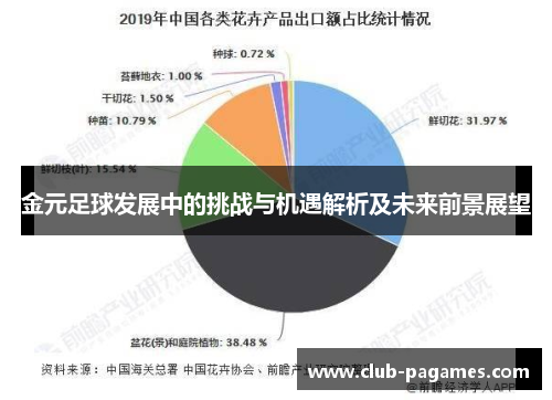 金元足球发展中的挑战与机遇解析及未来前景展望