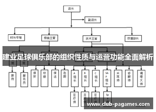 建业足球俱乐部的组织性质与运营功能全面解析